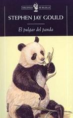 pulgar-panda.jpg